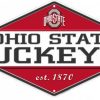 Home & Office Decor * | Discount Ohio State Buckeyes Diamond Panel Metal Sign