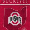 Home & Office Decor * | Discount Ohio State Buckeyes 17 X 26 Coordinates Sign