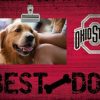 Home & Office Decor * | Discount Ohio State Buckeyes Best Dog Clip Frame