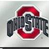 Car Accessories * | Discount Ohio State Buckeyes Laser Cut License Plate