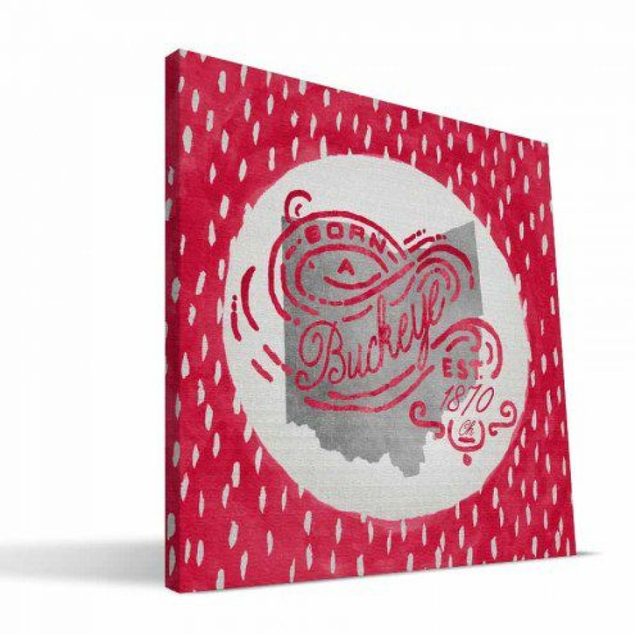 Home & Office Decor * | Discount Ohio State Buckeyes 12 X 12 Born A Fan Canvas Print