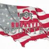 Home & Office Decor * | Discount Ohio State Buckeyes 15 Usa Flag Cutout Sign